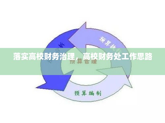 落實高校財務治理，高校財務處工作思路 