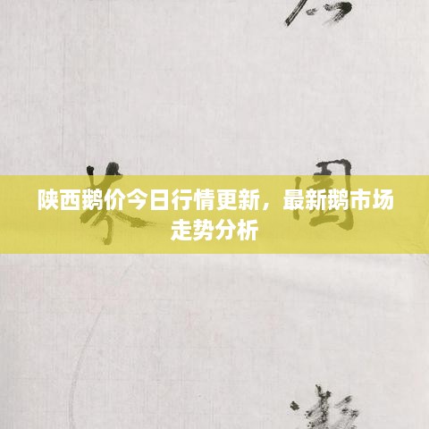 陜西鵝價(jià)今日行情更新，最新鵝市場(chǎng)走勢(shì)分析