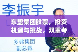 東盟集團(tuán)股票，投資機(jī)遇與挑戰(zhàn)，雙重考量不容錯(cuò)過(guò)