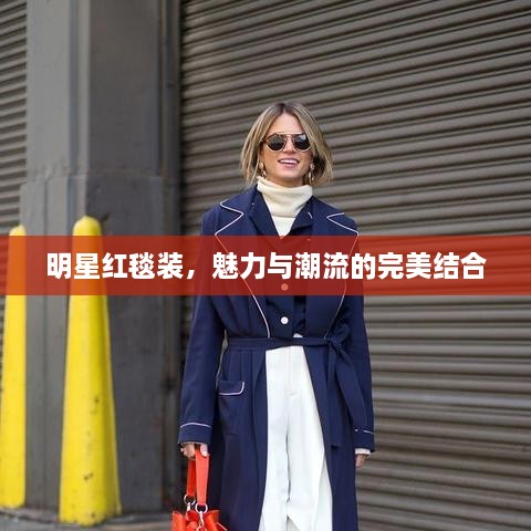 明星紅毯裝，魅力與潮流的完美結(jié)合