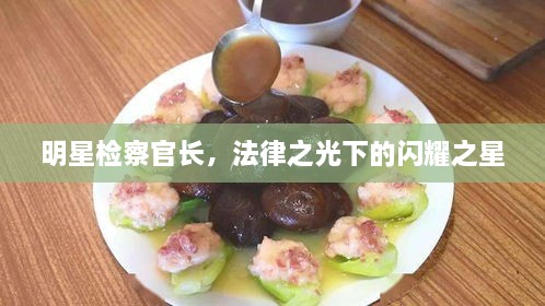 明星檢察官長(zhǎng)，法律之光下的閃耀之星