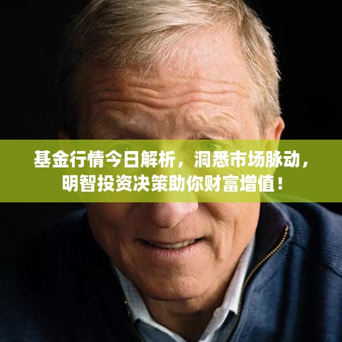 基金行情今日解析，洞悉市場(chǎng)脈動(dòng)，明智投資決策助你財(cái)富增值！