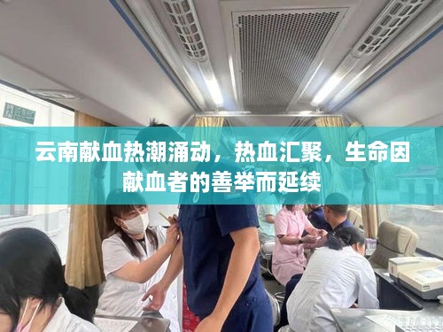 云南獻(xiàn)血熱潮涌動(dòng)，熱血匯聚，生命因獻(xiàn)血者的善舉而延續(xù)