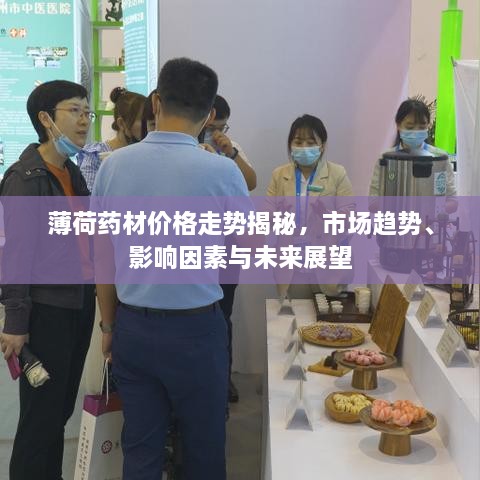 薄荷藥材價(jià)格走勢(shì)揭秘，市場(chǎng)趨勢(shì)、影響因素與未來(lái)展望