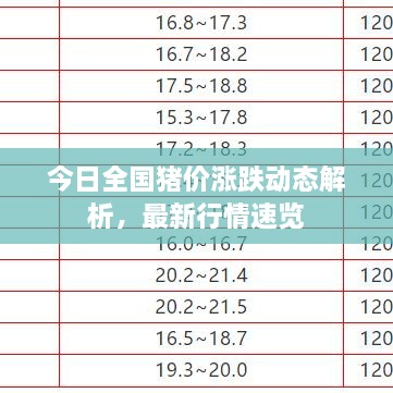 今日全國豬價(jià)漲跌動(dòng)態(tài)解析，最新行情速覽