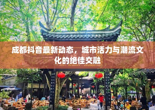 成都抖音最新動態(tài)，城市活力與潮流文化的絕佳交融