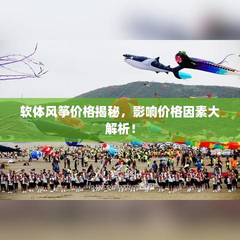 軟體風(fēng)箏價(jià)格揭秘，影響價(jià)格因素大解析！