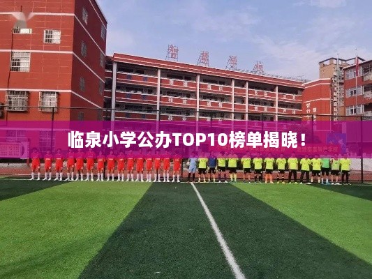 臨泉小學(xué)公辦TOP10榜單揭曉！