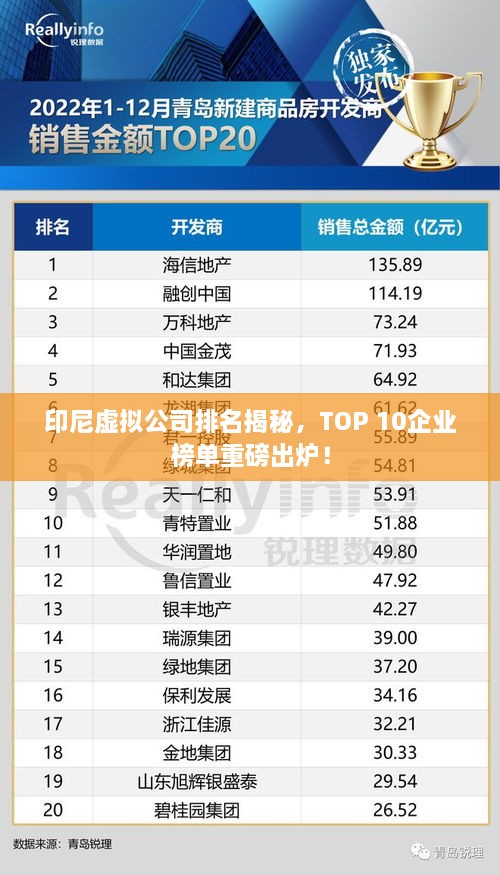 印尼虛擬公司排名揭秘，TOP 10企業(yè)榜單重磅出爐！