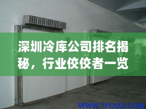 深圳冷庫公司排名揭秘，行業(yè)佼佼者一覽無余