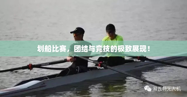 劃船比賽，團結(jié)與競技的極致展現(xiàn)！