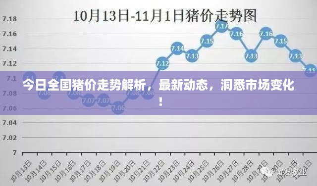 今日全國(guó)豬價(jià)走勢(shì)解析，最新動(dòng)態(tài)，洞悉市場(chǎng)變化！