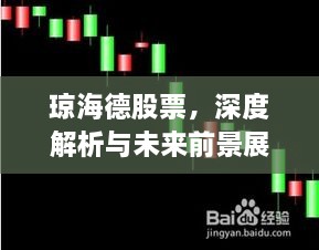 瓊海德股票，深度解析與未來(lái)前景展望