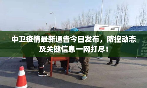 中衛(wèi)疫情最新通告今日發(fā)布，防控動態(tài)及關(guān)鍵信息一網(wǎng)打盡！
