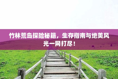 竹林荒島探險(xiǎn)秘籍，生存指南與絕美風(fēng)光一網(wǎng)打盡！