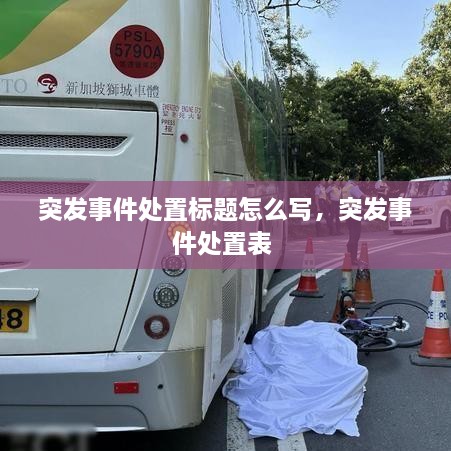 突發(fā)事件處置標(biāo)題怎么寫，突發(fā)事件處置表 