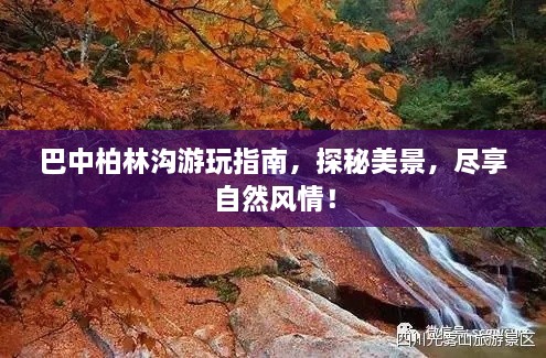 2025年2月 第102頁