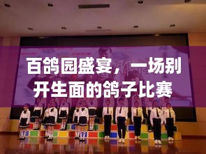 百鴿園盛宴，一場(chǎng)別開生面的鴿子比賽盛宴！