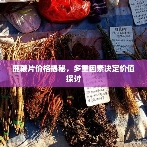 鹿鞭片價(jià)格揭秘，多重因素決定價(jià)值探討