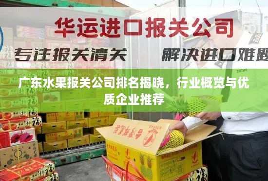 廣東水果報關公司排名揭曉，行業(yè)概覽與優(yōu)質企業(yè)推薦