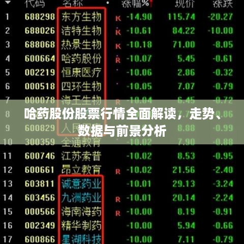 哈藥股份股票行情全面解讀，走勢、數(shù)據(jù)與前景分析