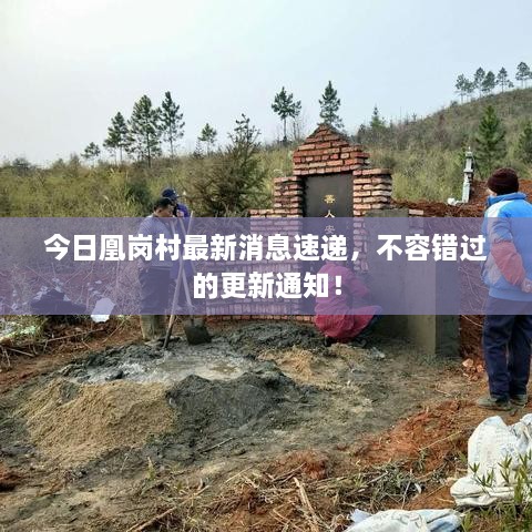 今日凰崗村最新消息速遞，不容錯(cuò)過的更新通知！