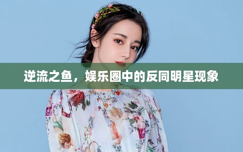 逆流之魚(yú)，娛樂(lè)圈中的反同明星現(xiàn)象