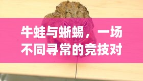 牛蛙與蜥蜴，一場不同尋常的競技對決