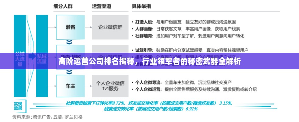 高階運(yùn)營公司排名揭秘，行業(yè)領(lǐng)軍者的秘密武器全解析
