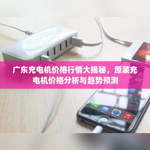 廣東充電機價格行情大揭秘，原裝充電機價格分析與趨勢預(yù)測