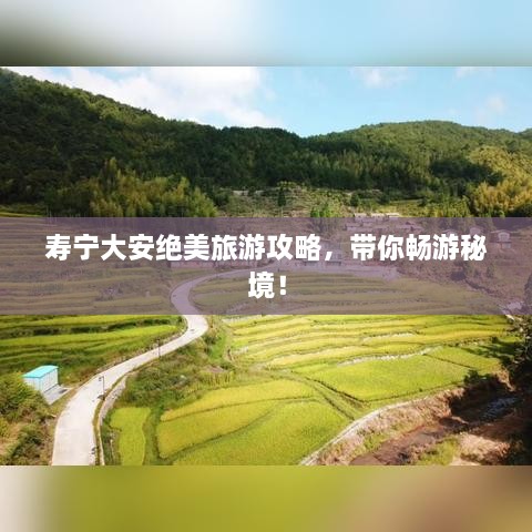 壽寧大安絕美旅游攻略，帶你暢游秘境！