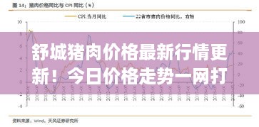 舒城豬肉價格最新行情更新！今日價格走勢一網(wǎng)打盡