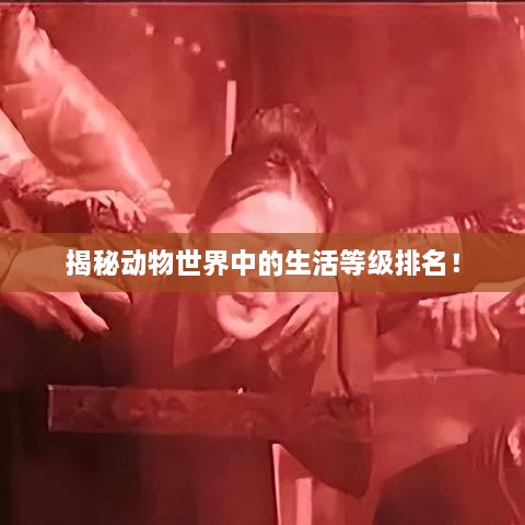 揭秘動物世界中的生活等級排名！