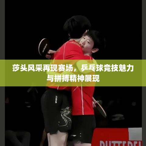 莎頭風采再現(xiàn)賽場，乒乓球競技魅力與拼搏精神展現(xiàn)