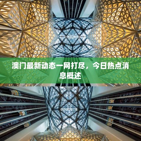 澳門最新動態(tài)一網(wǎng)打盡，今日熱點(diǎn)消息概述