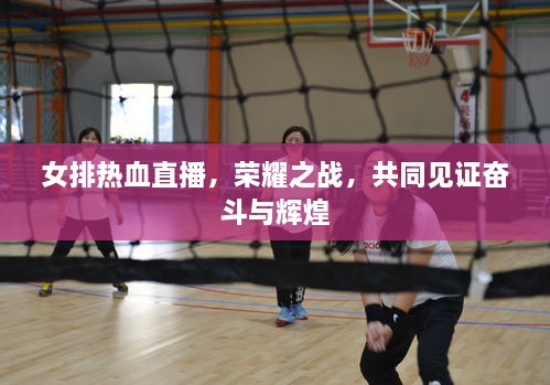 女排熱血直播，榮耀之戰(zhàn)，共同見證奮斗與輝煌