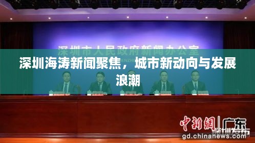 深圳海濤新聞聚焦，城市新動(dòng)向與發(fā)展浪潮