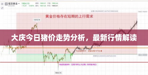 大慶今日豬價走勢分析，最新行情解讀
