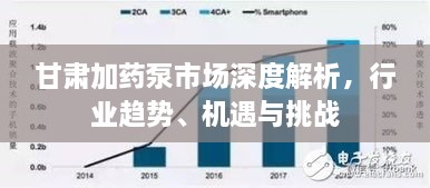 甘肅加藥泵市場(chǎng)深度解析，行業(yè)趨勢(shì)、機(jī)遇與挑戰(zhàn)