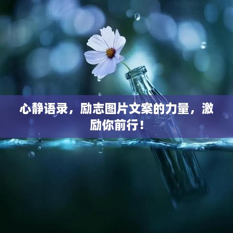 心靜語(yǔ)錄，勵(lì)志圖片文案的力量，激勵(lì)你前行！