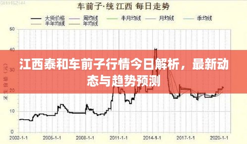江西泰和車前子行情今日解析，最新動態(tài)與趨勢預(yù)測