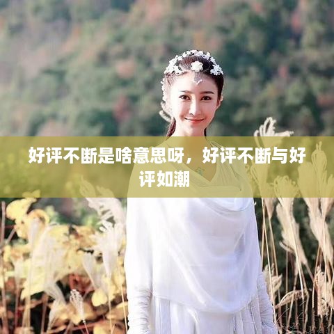 好評不斷是啥意思呀，好評不斷與好評如潮 