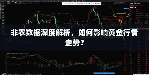 非農(nóng)數(shù)據(jù)深度解析，如何影響黃金行情走勢(shì)？