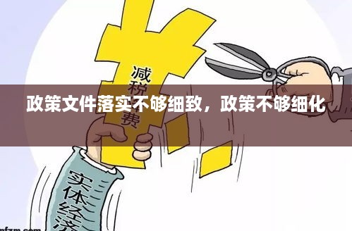政策文件落實(shí)不夠細(xì)致，政策不夠細(xì)化 