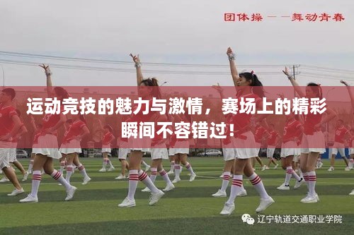 運(yùn)動競技的魅力與激情，賽場上的精彩瞬間不容錯過！