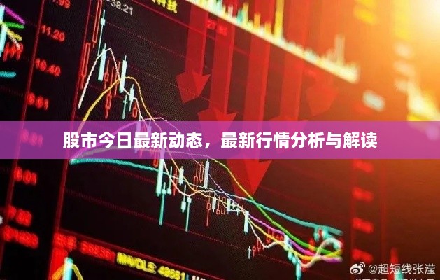 股市今日最新動(dòng)態(tài)，最新行情分析與解讀