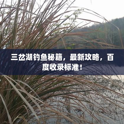 三岔湖釣魚秘籍，最新攻略，百度收錄標(biāo)準(zhǔn)！