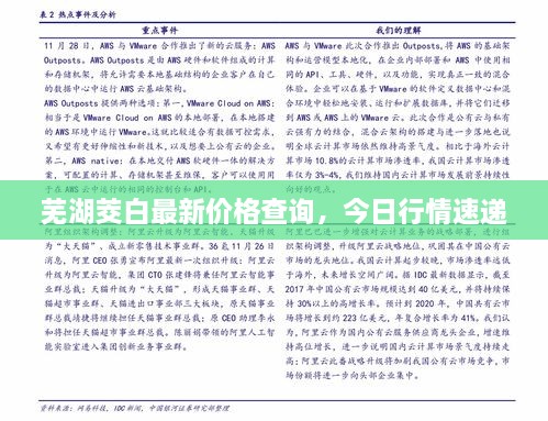 蕪湖茭白最新價格查詢，今日行情速遞