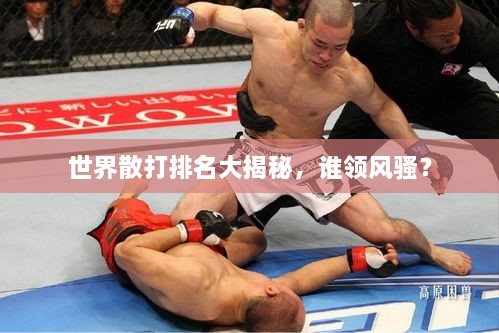 世界散打排名大揭秘，誰(shuí)領(lǐng)風(fēng)騷？