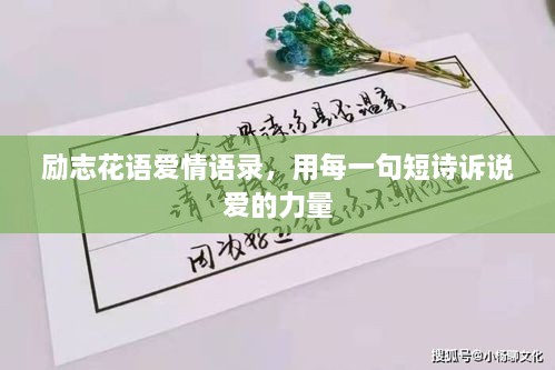 勵(lì)志花語愛情語錄，用每一句短詩訴說愛的力量